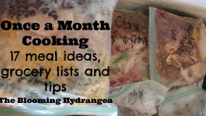 onceamonthcooking1